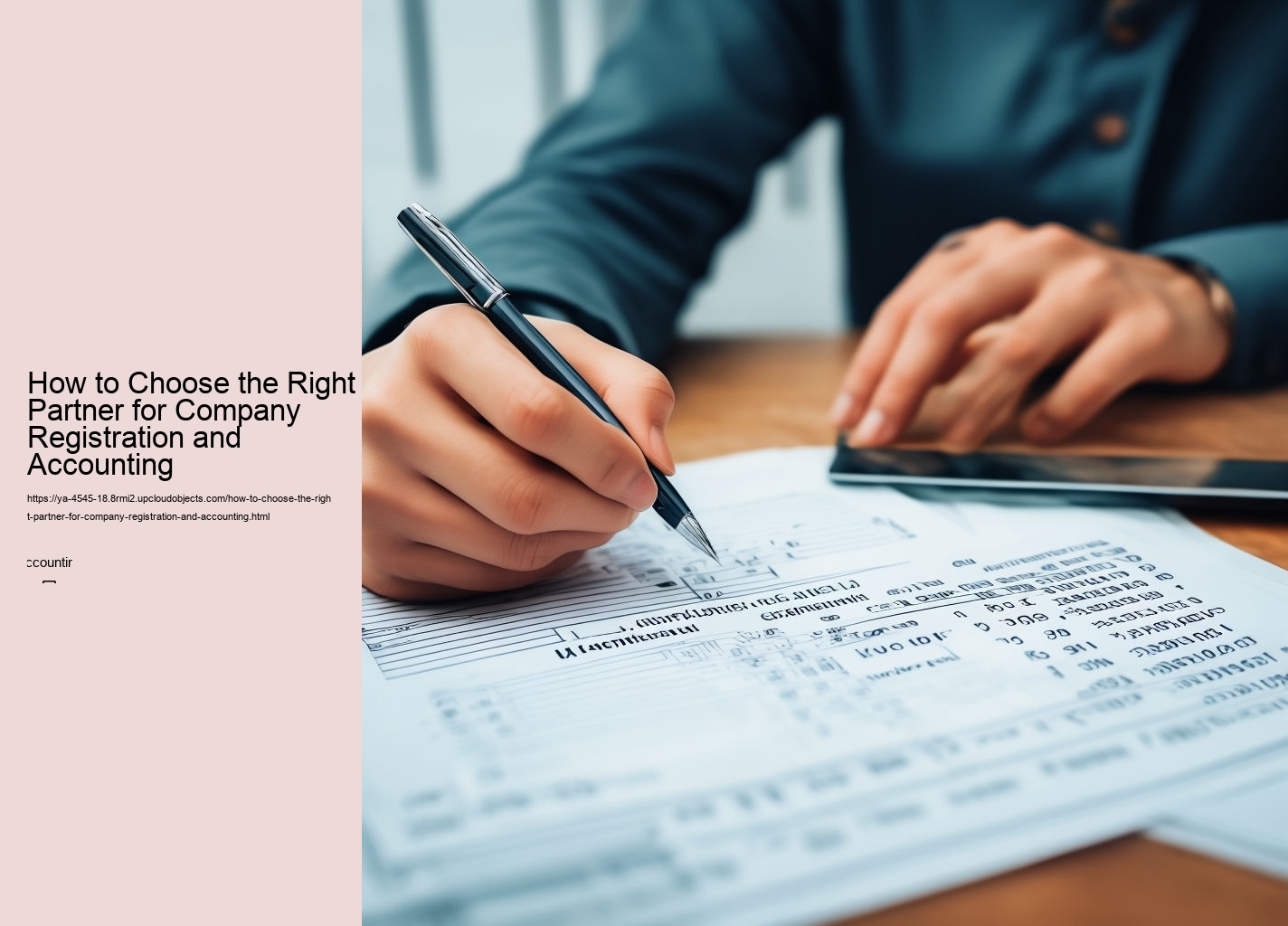 How to Choose the Right Partner for Company Registration and Accounting